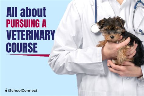 Veterinary Courses in Singapore: Your Guide to a Rewarding Career