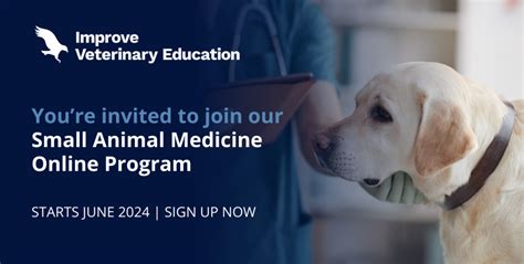 Veterinary Education in Singapore: A Comprehensive Guide