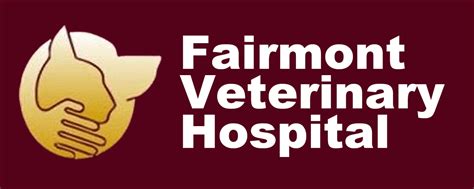 Veterinary Medicine in Fairmont: A Comprehensive Overview