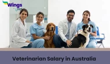 Veterinary Salaries in Singapore: A Comprehensive Guide