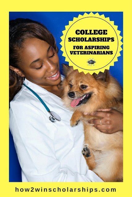 Veterinary Scholarships 2024: A Comprehensive Guide for Aspiring Veterinarians