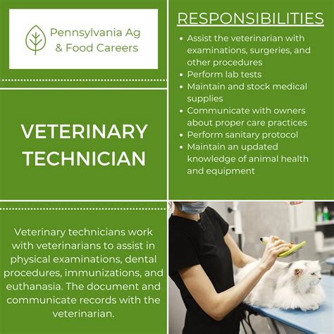 Veterinary Technician Schools in Pittsburgh, PA: Embark on a Rewarding Career in Animal Care
