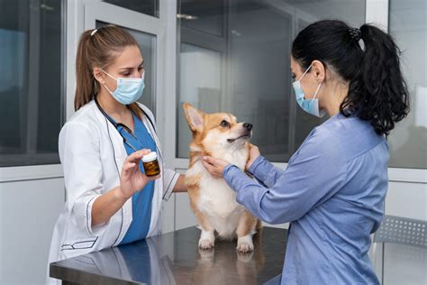 Vets For Life Animal Clinic: Your Trusted Partner in Pet Care for 25 Years