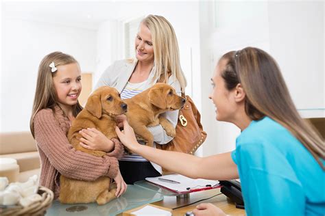 Vets That Take Payments: 16 Options for Financing Your Pet's Care