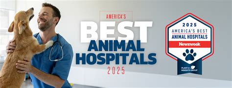 Vets in Akron: 20 Best Animal Hospitals in 2023