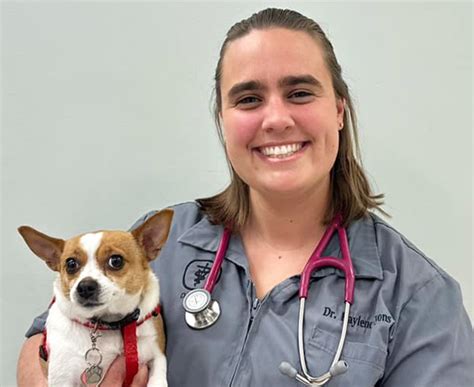 Vets in Pittsfield, MA: Your Comprehensive Guide to Animal Care