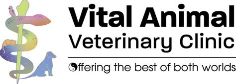 Vets in Sioux Falls: A Comprehensive Guide to Animal Care