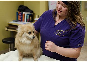 Vets in Topeka, KS: A Comprehensive Guide to the Best Animal Care