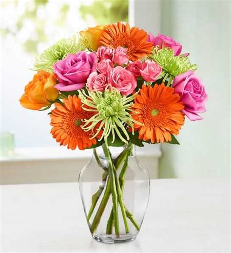 Vibrant blooms: