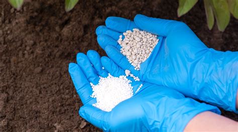 Viburnum Fertilizer: The 7 Key Ingredients Your Plants Need