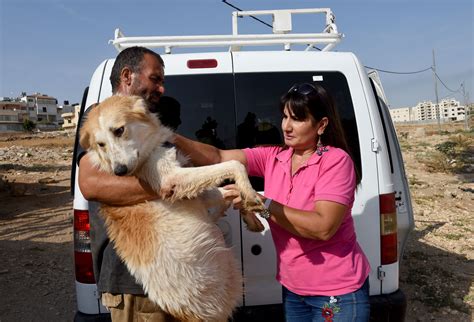 Victorville Animal Rescue: A Haven for Abandoned and Abused Animals