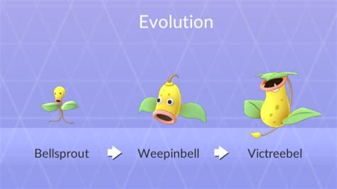 Victreebell: A Comprehensive Guide to the 101 of the Evolutionary Wonder