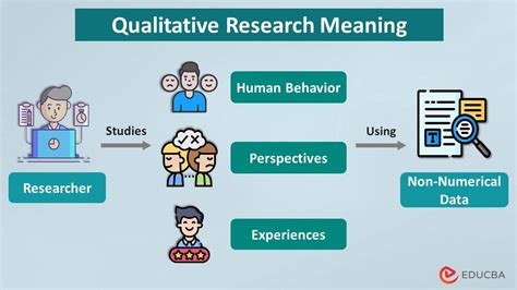 Video in Qualitative Research PDF