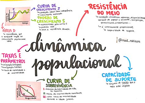 Vila e ABC: Uma Dupla Dinâmica Impulsionando o Crescimento Regional