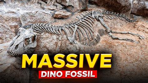 Village on the Back of a Dinosaur: An Unbelievable Discovery