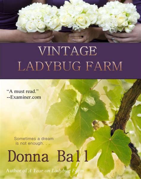 Vintage Ladybug Farm Kindle Editon