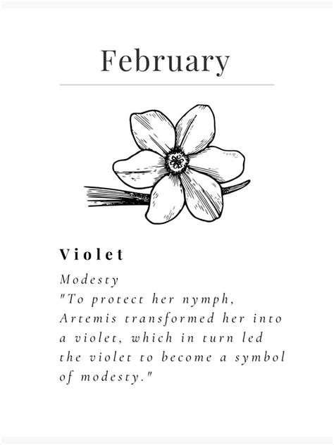 Violet Valentina: Unveiling the Secrets of a Mystifying Flower