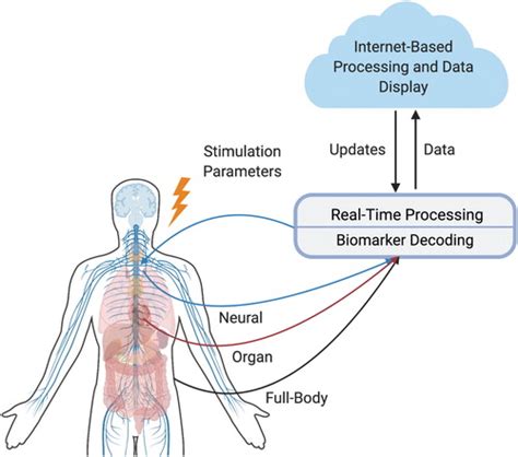 Violetwalker: Unlocking the Potential of Bioelectric Medicine