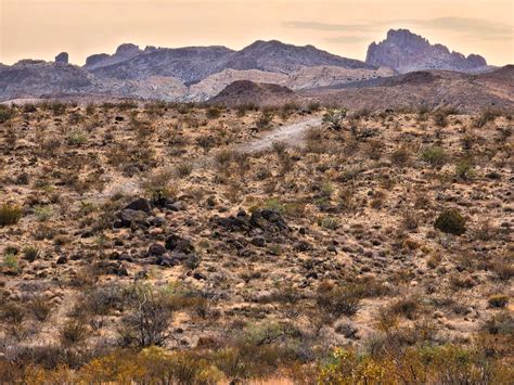 Virginia Wiseman's Arizona: A 10,000-Acre Oasis of Opportunity