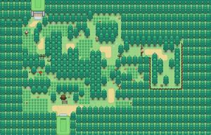 Viridian Forest: