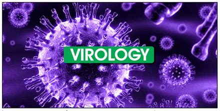Virology PDF