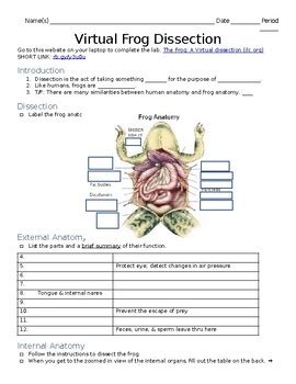 Virtual Frog Dissection Answer Key Epub