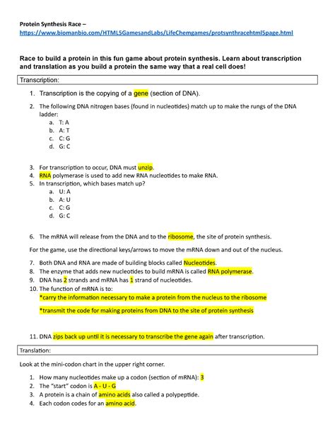 Virtual Lab Protein Synthesis Answer Key PDF