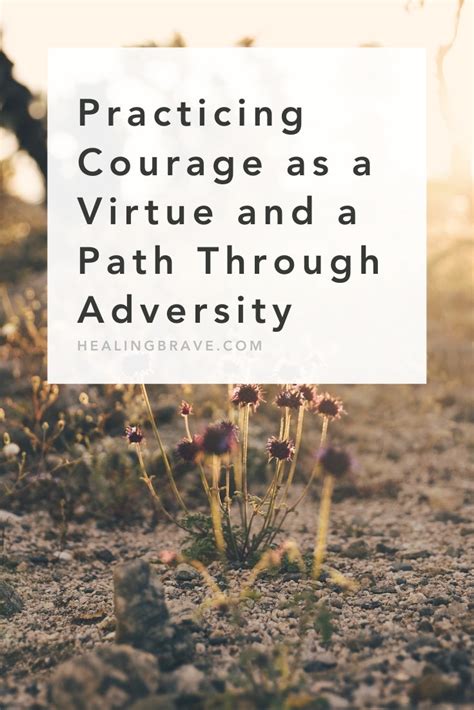 Virtues Of Courage In Adversity Kindle Editon