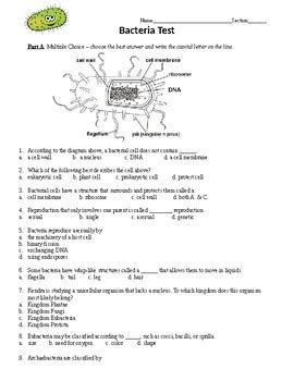 Virus And Bacteria Test Answers Epub