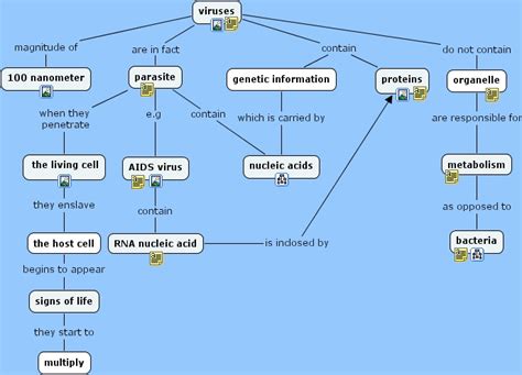 Virus Concept Map Answers Doc