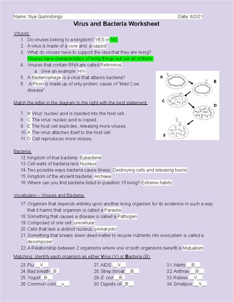 Viruses Bacteria Worksheet Answers Biology Epub