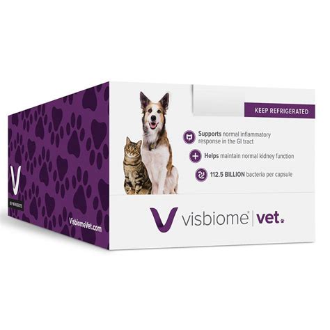 Visbiome Probiotics: A Comprehensive Guide to Gut Health for Dogs