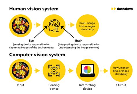 Vision as Process Basic Research on Computer Vision Systems 1st Edition. 94 PDF