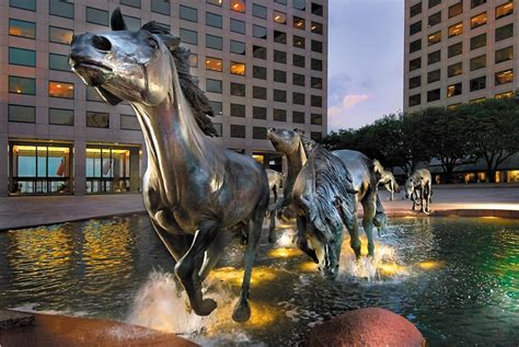 Visit the Mustangs of Las Colinas