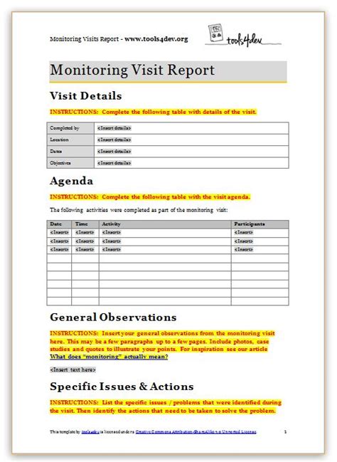 Visitation Report Template