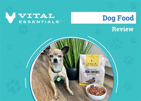 Vital Essentials Dog Food: Discover the Secret to Unparalleled Canine Health