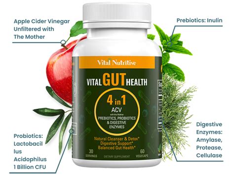 Vital Gut Health 4in1: The Ultimate Guide to a Healthy Gut