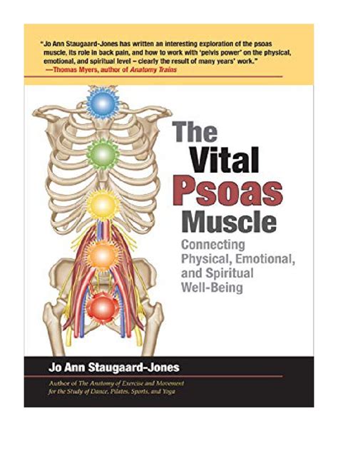 Vital Psoas Muscle Connecting Well Being Epub