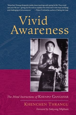 Vivid Awareness The Mind Instructions of Khenpo Gangshar PDF