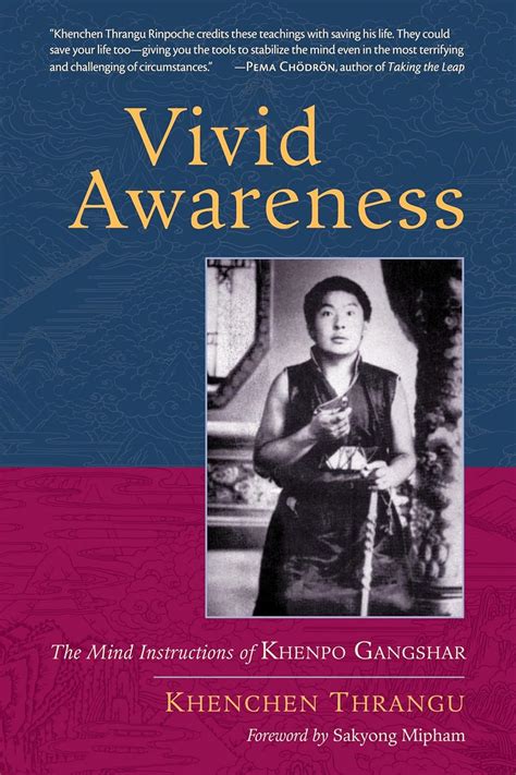 Vivid Awareness The Mind Instructions of Khenpo Gangshar PDF