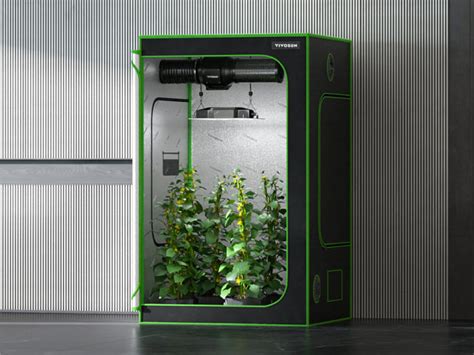 Vivosun Grow Tent Set Up: The Ultimate Guide for Optimal Plant Growth