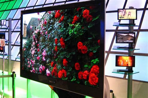 Vizio Halts OLED TV Production: Understanding the Reasons and Impact