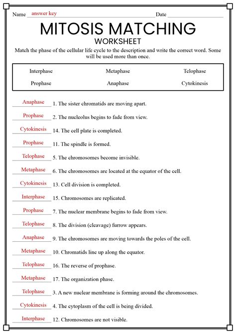 Vocabulary Quiz A Answer Key Meiosis Reader