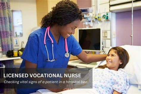 Vocational Nurse (VN):