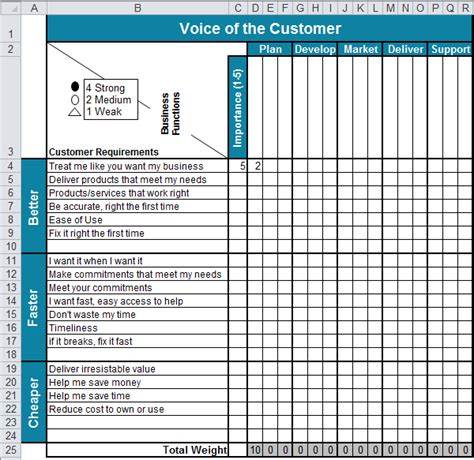 Voice Of Customer Template