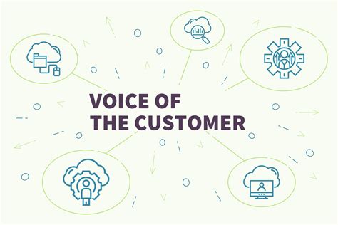 Voice of the Customer