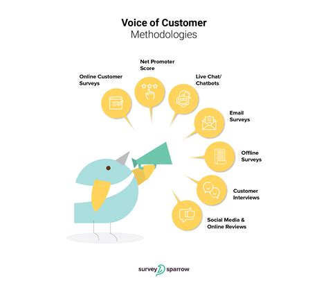 Voice of the Customer Capture and Analysis Epub