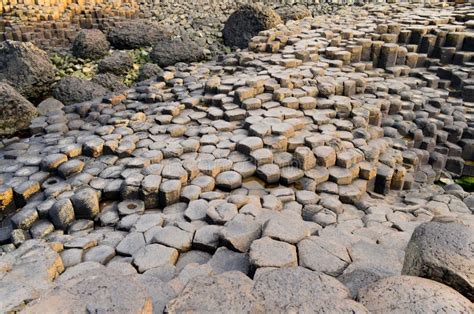 Volcanic Stones: An Earthly Wonder with Myriad Applications