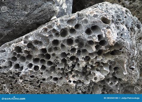 Volcanic Stones: Nature's Porous Wonder