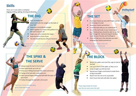 Volleyball: The Ultimate Guide to Techniques, Strategies, and Training